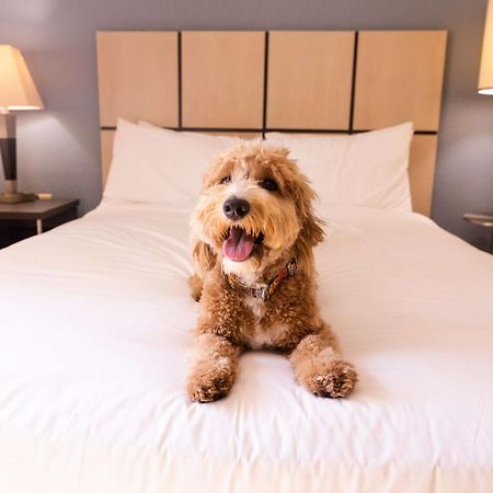Sonesta Simply Suites Columbus Airport Gahanna Extérieur photo